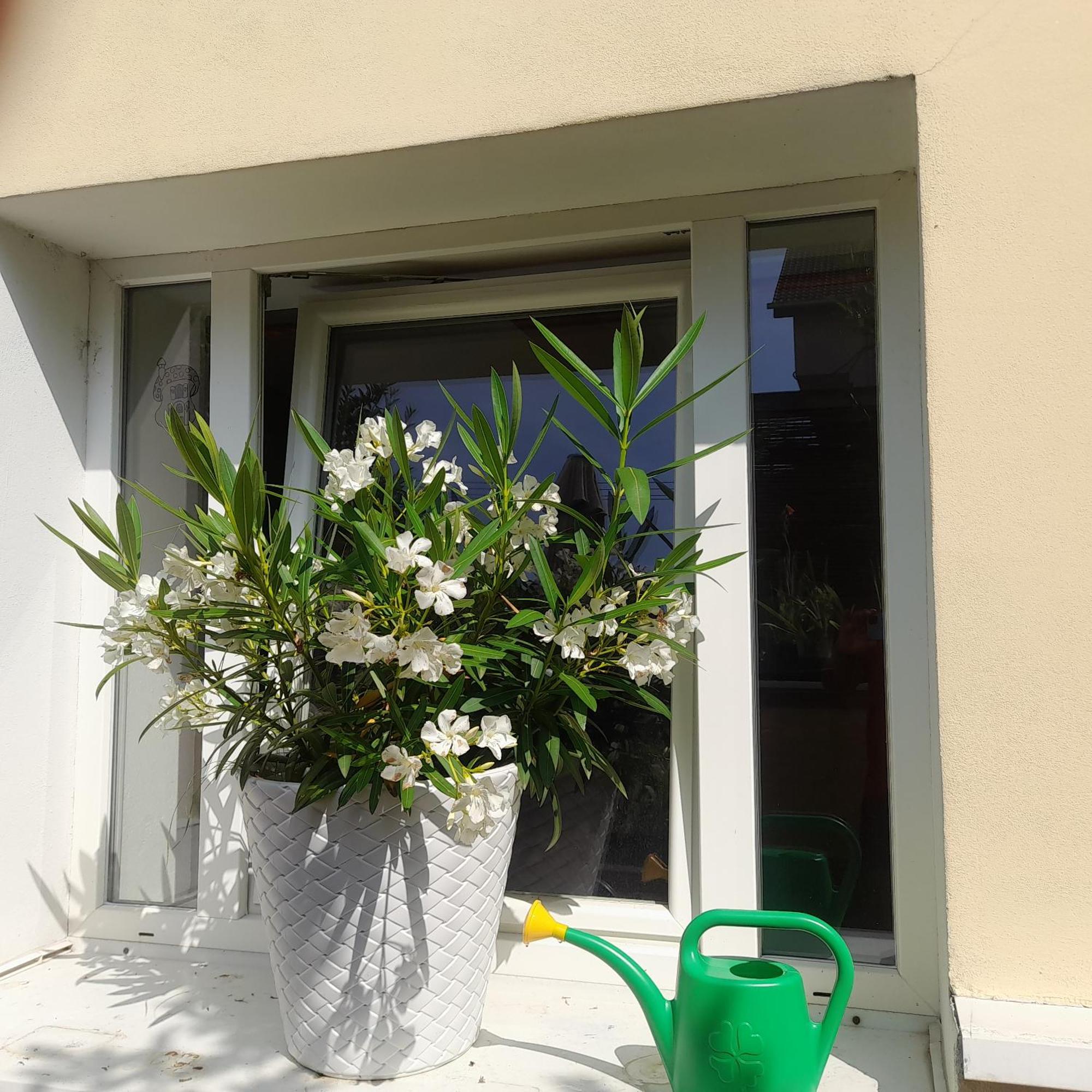 Privat 2 Na Sihoti Trencin Exterior foto